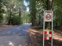 Regentesselaan da Renkum