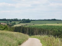 Réibichsbierg