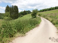 Réibichsbierg