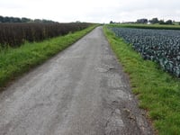 Reifeld