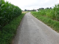 Reifeld