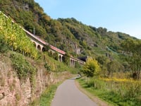 Reiler Hals von Pünderich Bahnhof