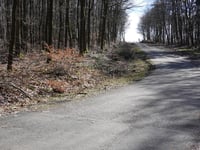 Rennweg von Schevenhütte