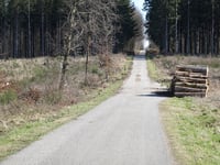Rennweg von Schevenhütte