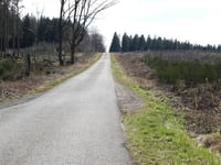 Rennweg von Schevenhütte