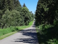 Rennweg von Schevenhütte