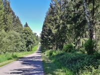 Rennweg von Schevenhütte
