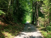 Reudlenstrasse von Reichenbach im Kandertal über Niesenstrasse