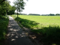 Roghairsparren