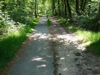 Roghairsparren
