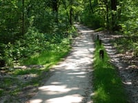 Roghairsparren