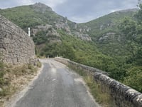 Revens von Gardies