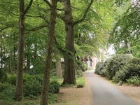 Rhederoord