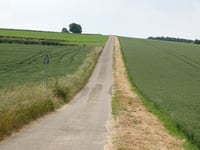Ribbelheideweg