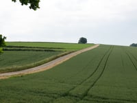 Ribbelheideweg