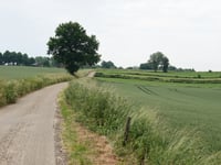 Ribbelheideweg