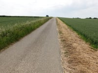 Ribbelheideweg