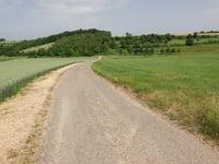 Ribbelheideweg