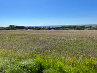 Ribbelheideweg
