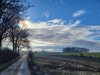 Ribbelheideweg