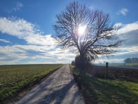 Ribbelheideweg