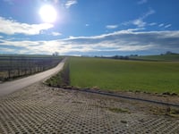 Ribbelheideweg