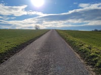 Ribbelheideweg