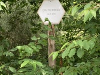 Col du Rideux Nordost