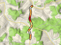 Ried from Wird im Wald