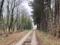 Riether Strasse von Brüxken