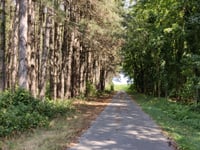 Riether Strasse von Brüxken