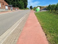 Rijnrode