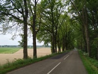 Rijsberg von Loerbeek