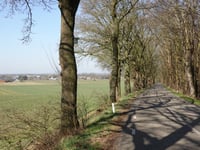 Rijsberg von Loerbeek