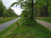Rijsberg z Beek