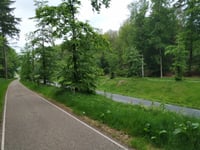 Rijsberg z Beek