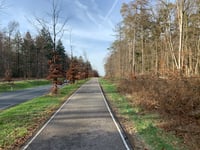 Rijsberg depuis Zeddam