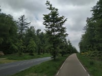 Rijsberg depuis Zeddam