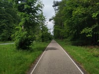 Rijsberg depuis Zeddam