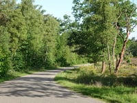 Rijsserberg von Rijssen