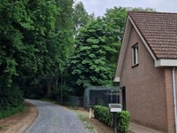 Rijzendeweg über Bossestraat