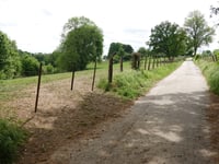 Rindsbergweg von Pützgasse