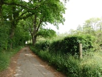 Rindsbergweg von Pützgasse