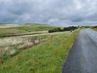 Rivington Road vanuit Rivington