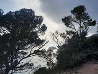 Roca del Rei von Canyet de Mar