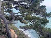 Roca del Rei von Canyet de Mar