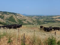 Rocca delle Caminate via Via delle Caminate
