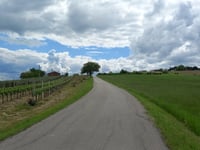 Rocca delle Caminate über Strada della Collina