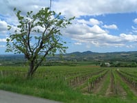 Rocca delle Caminate über Strada della Collina