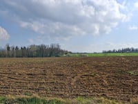 Rocca delle Caminate über Via Sbargoleto